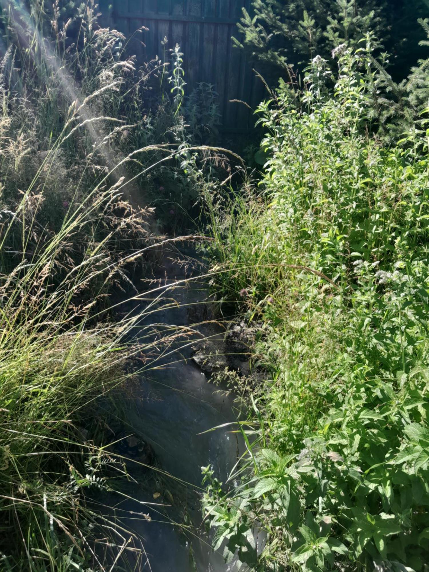 Waterfall In The Yard Karakol Εξωτερικό φωτογραφία