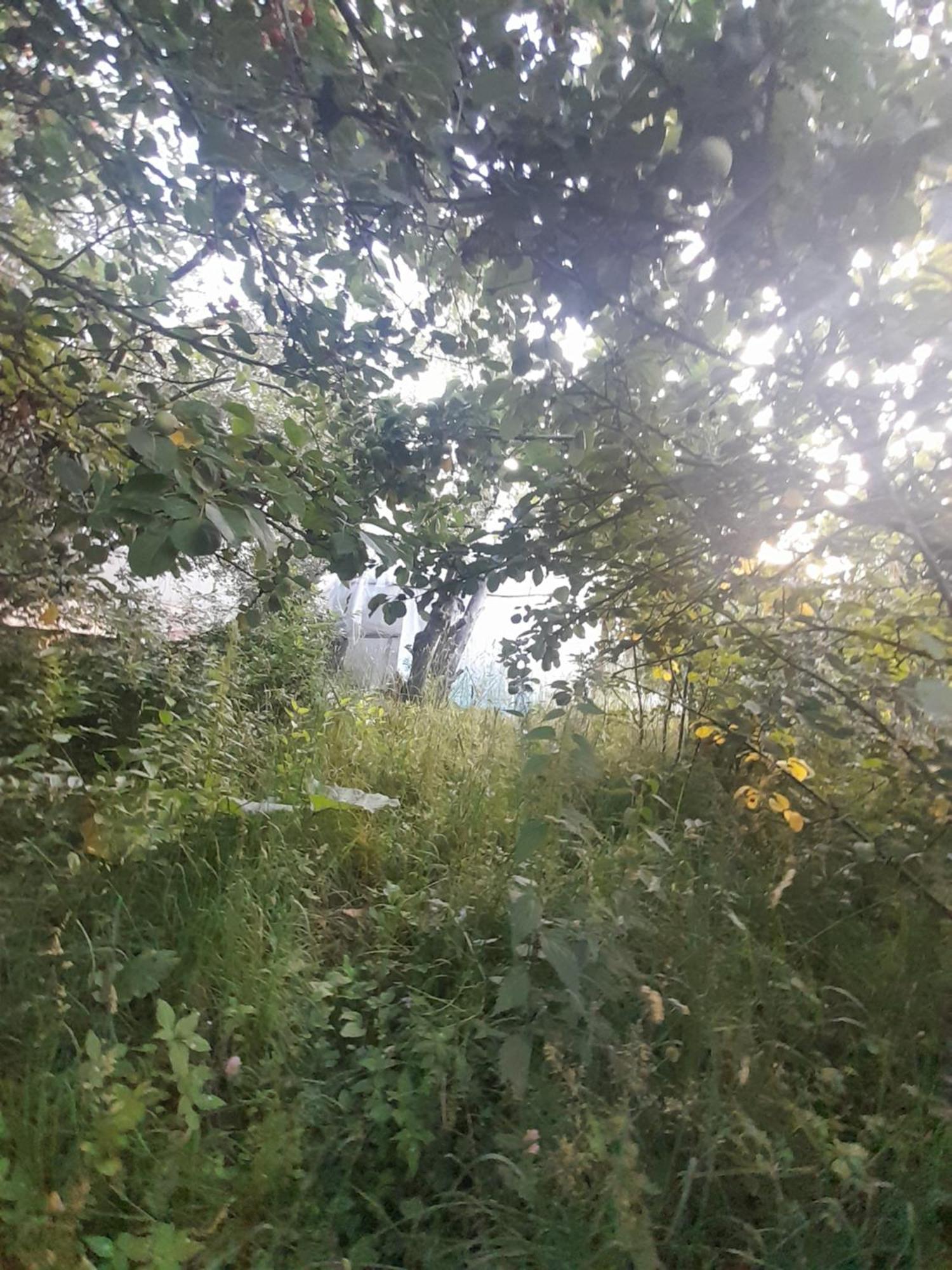 Waterfall In The Yard Karakol Εξωτερικό φωτογραφία